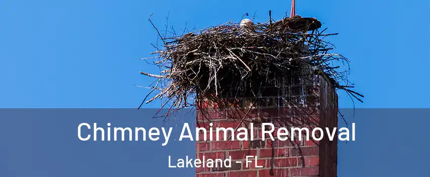 Chimney Animal Removal Lakeland - FL