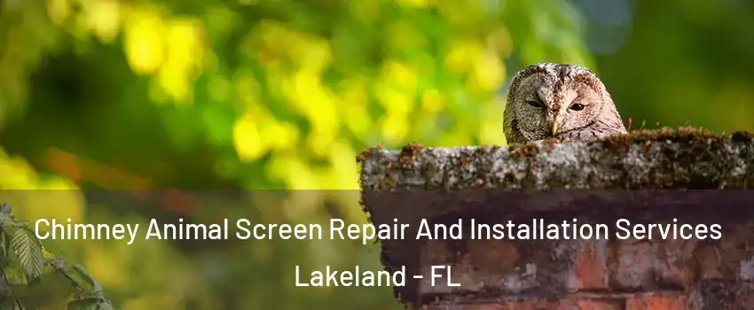 Chimney Animal Screen Repair And Installation Services Lakeland - FL