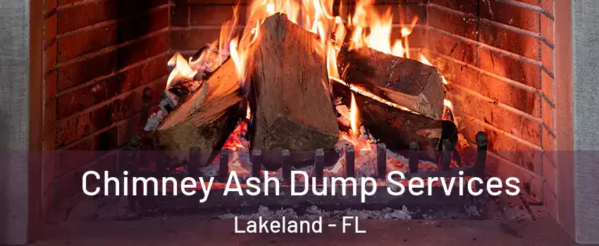 Chimney Ash Dump Services Lakeland - FL