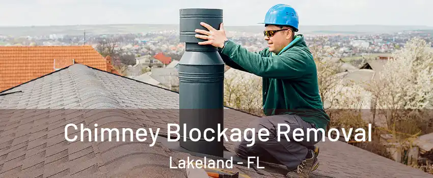  Chimney Blockage Removal Lakeland - FL