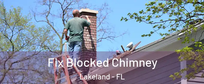  Fix Blocked Chimney Lakeland - FL