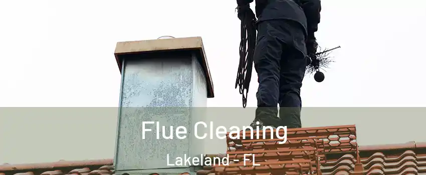  Flue Cleaning Lakeland - FL