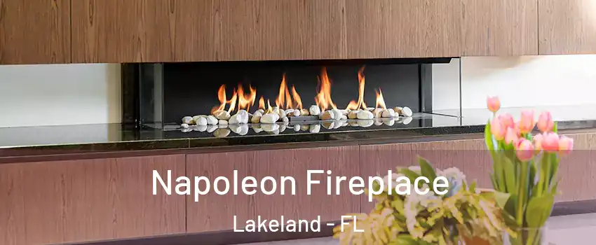  Napoleon Fireplace Lakeland - FL